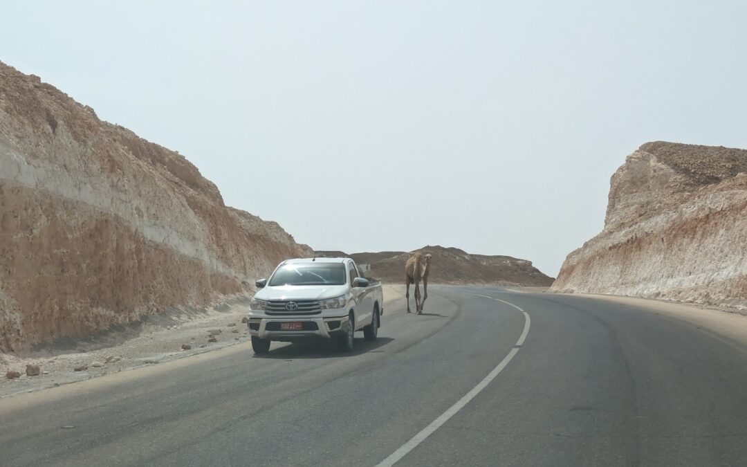 First iRAP Assessment in Oman